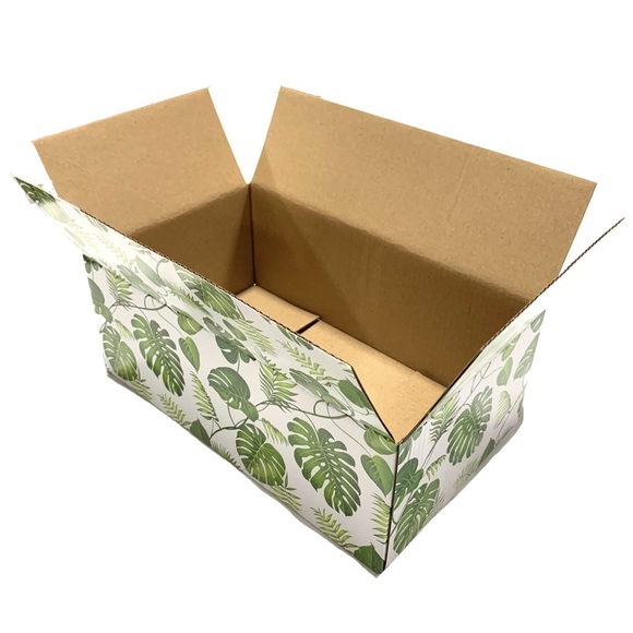 10 (10X6X4) ECO Banana Leaf Boxes PRICE IS FIRM - Picture 4 of 5
